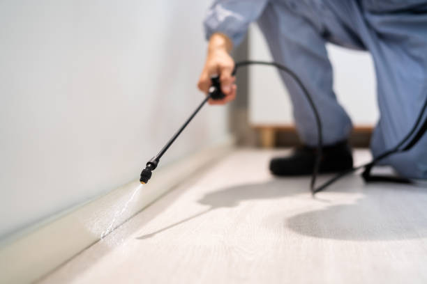 Licensed Rodent Control service in Sanborn County County, SD - Nex Pest Control